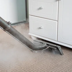 steam-carpet-cleaning-carpets-bedroom-600nw-1905994759